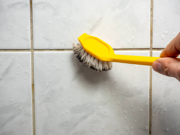 Best Fast Mold Removal  in Porters Neck, NC