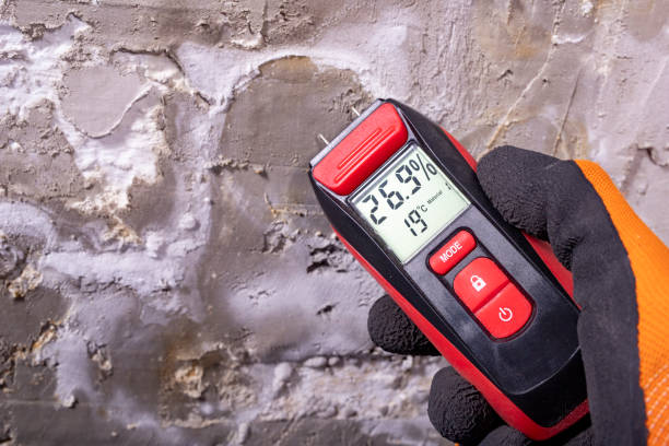 Best Same-Day Mold Removal  in Porters Neck, NC