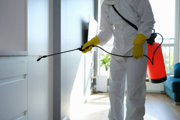 Best Home Mold Removal  in Porters Neck, NC
